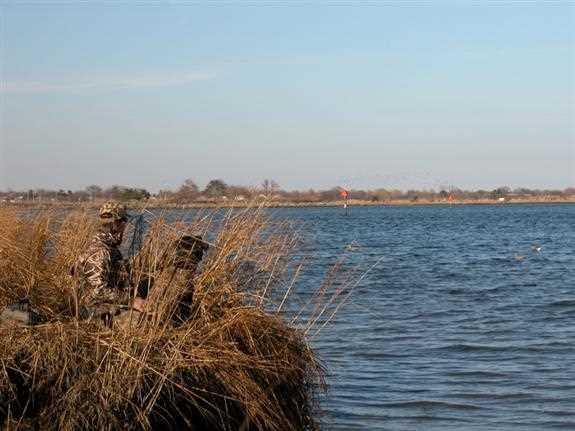 Hunter and dog camouflage in wetlands